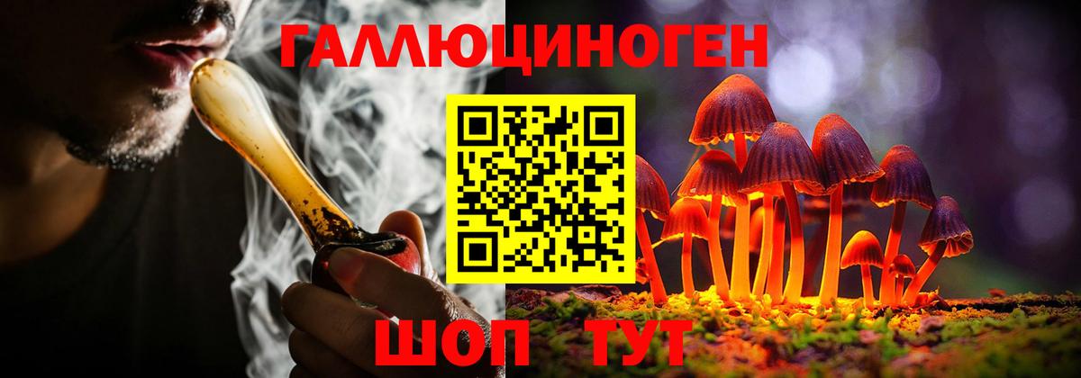 Галлюциногенные грибы Cubensis  где найти наркотики  Надым  Вход с VPN 